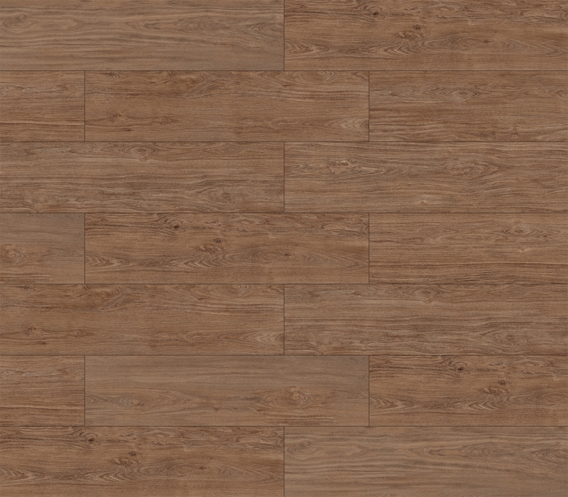 RAVENA AVELÃ - HNT 300.199 - Paginação 1